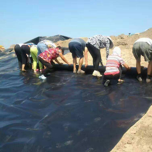 结合场地周边情况以及围堰工程使用要求，围堰等级是多少